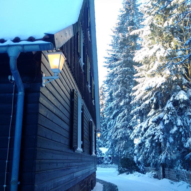 The Cabin - Harz National Park Ξενοδοχείο Sankt Andreasberg Εξωτερικό φωτογραφία