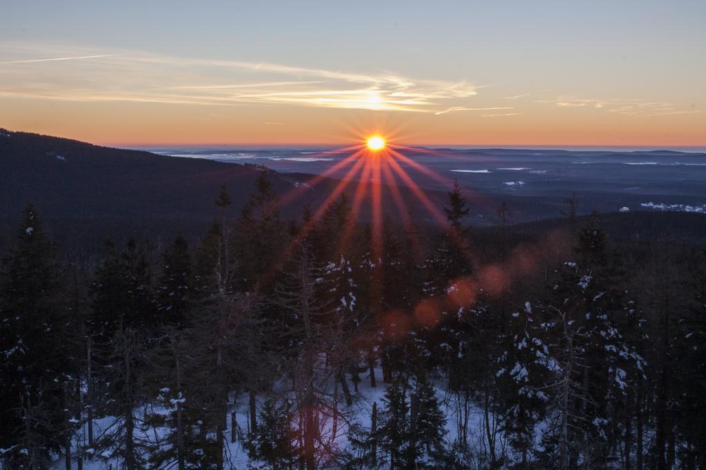 The Cabin - Harz National Park Ξενοδοχείο Sankt Andreasberg Εξωτερικό φωτογραφία